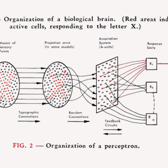 Rosenblatt Perceptron, the origin of Artificial Neural Networks