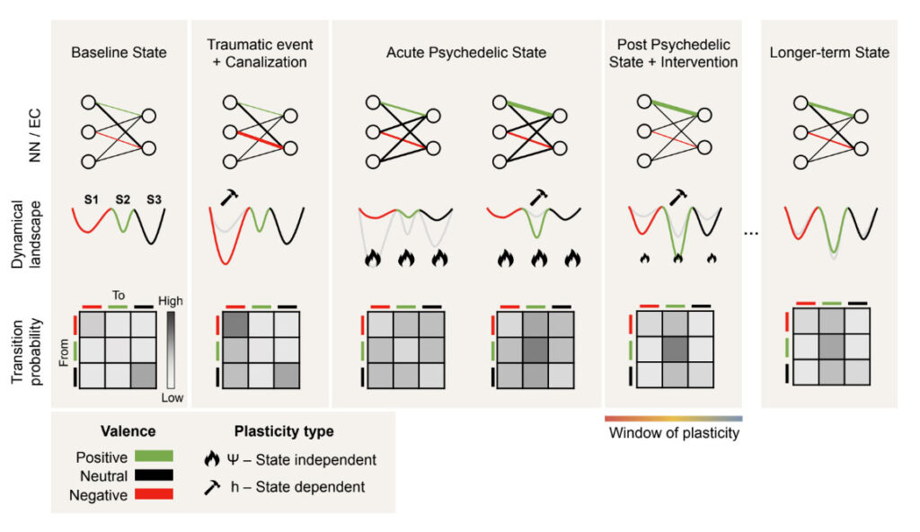 Neural Geometrodynamics Exploring a Paradigm Shift Through Psychedelics