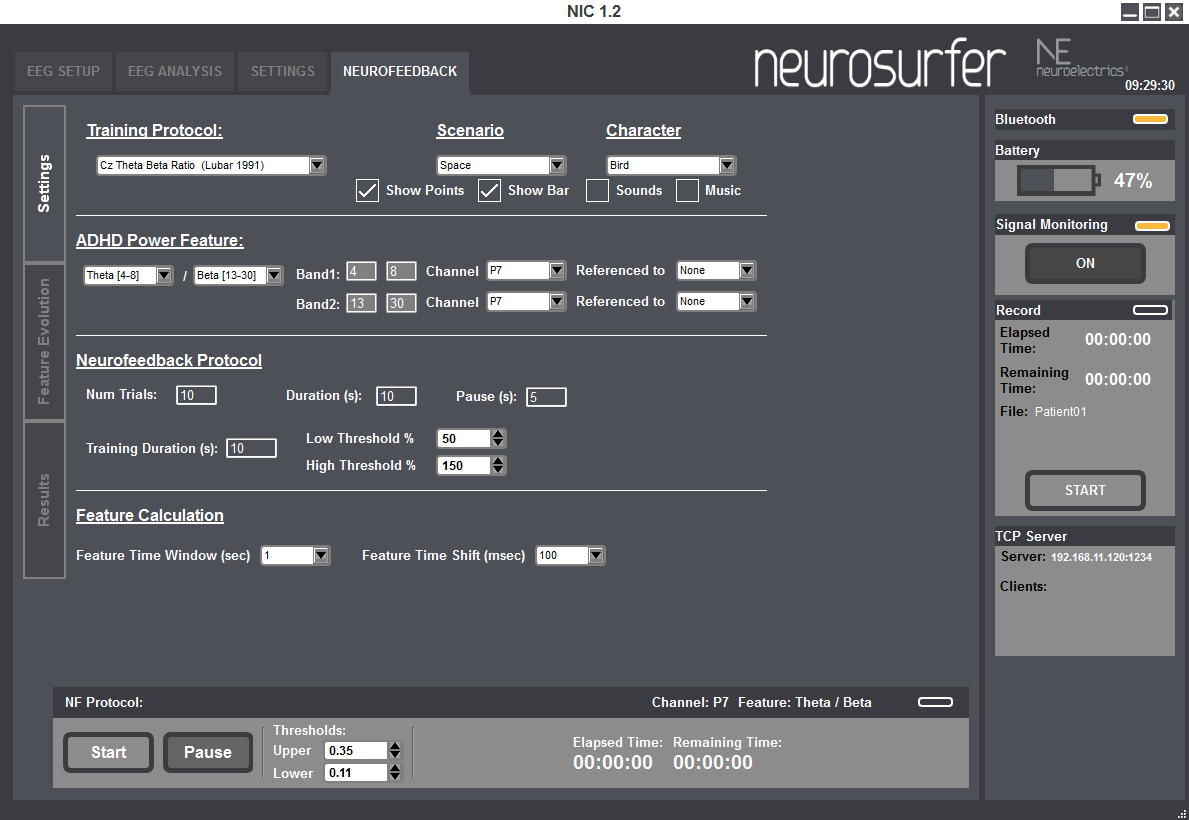 NeuroSurfer settings.